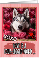 Alaskan Husky and Roses Valentine’s Day card