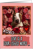 Bull Terrier and Roses Valentine’s Day card