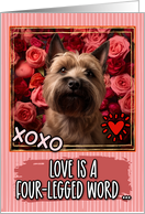 CairnTerrier and Roses Valentine’s Day card
