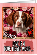 Brittany Dog and Roses Valentine’s Day card