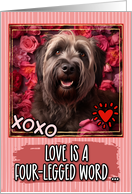 Briard and Roses Valentine’s Day card