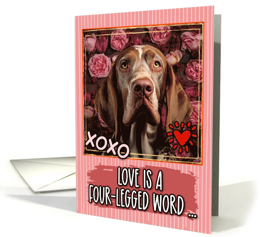 Bracco Italiano and Roses Valentine's Day card (1811666)