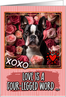 Boston Terrier and Roses Valentine’s Day card