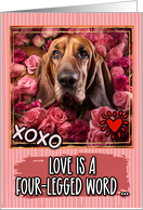 Bloodhound and Roses Valentine’s Day card