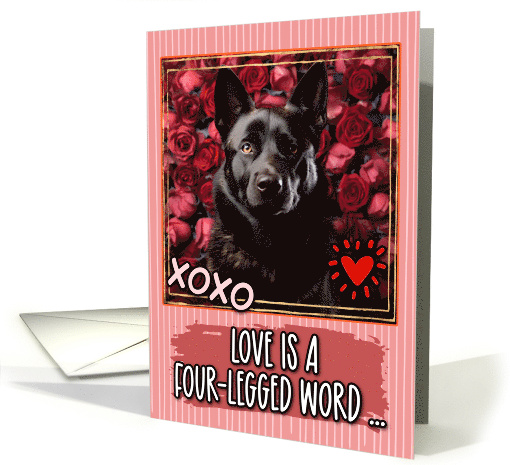 Black Norwegian Elkhound and Roses Valentine's Day card (1811702)