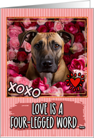 Black Mouth Cur and Roses Valentine’s Day card