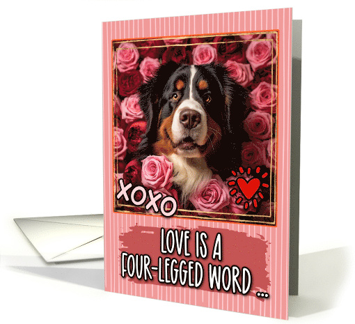 Bernese Mountain dog and Roses Valentine's Day card (1811710)