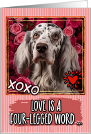 English Setter and Roses Valentine’s Day card
