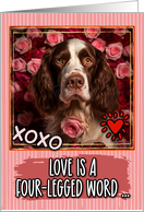 English Springer Spaniel and Roses Valentine’s Day card