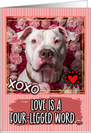 Dogo Argentino and Roses Valentine’s Day card