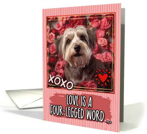 Dandie Dinmont Terrier and Roses Valentine's Day card (1811822)