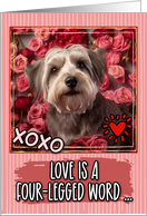 Dandie Dinmont Terrier and Roses Valentine’s Day card