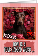Dobermann Pinscher and Roses Valentine’s Day card