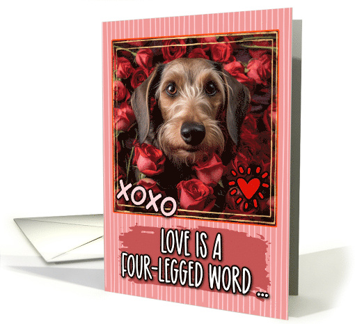 Dachshund Wirehaired and Roses Valentine's Day card (1811830)