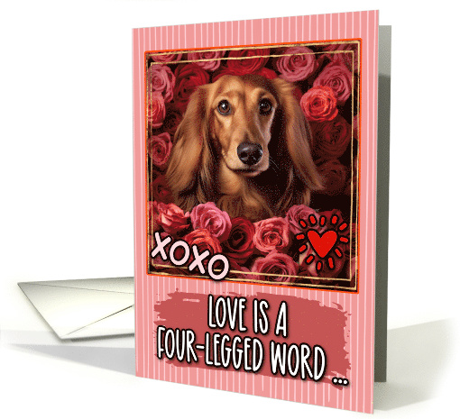 Dachshund Longhaired and Roses Valentine's Day card (1811832)