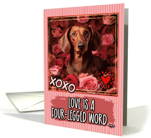 Dachshund and Roses Valentine's Day card (1811836)
