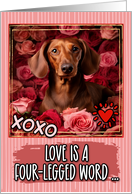 Dachshund and Roses Valentine’s Day card