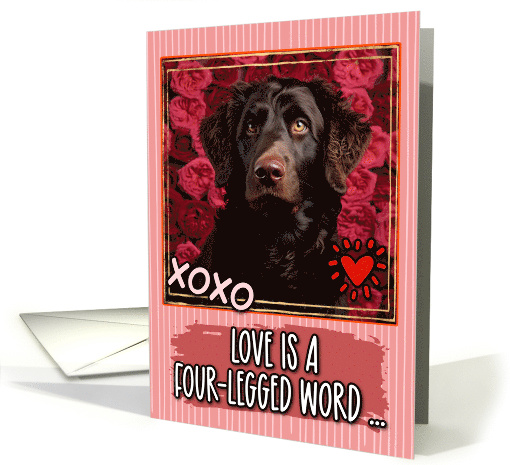 Curlycoated Retriever and Roses Valentine's Day card (1811838)