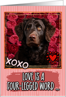 Curlycoated Retriever and Roses Valentine’s Day card