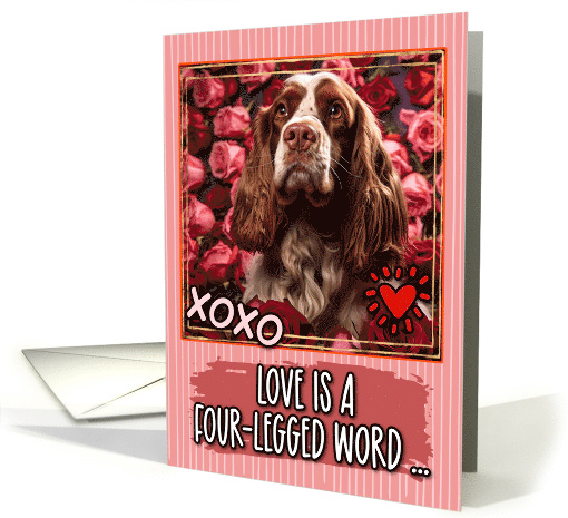Cocker Spaniel and Roses Valentine's Day card (1811842)