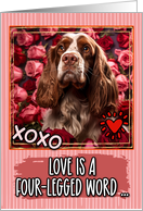 Cocker Spaniel and Roses Valentine’s Day card