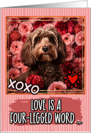 Cockapoo and Roses Valentine’s Day card