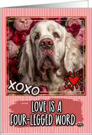 Clumber Spaniel and Roses Valentine’s Day card