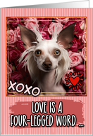 Chinese Crested Dog and Roses Valentine’s Day card