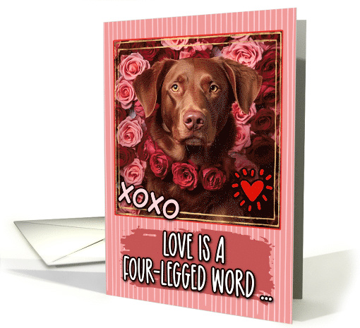 Chesepeake Bay Retriever and Roses Valentine's Day card (1811852)