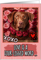 Chesepeake Bay Retriever and Roses Valentine’s Day card