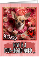 Chihuahua and Roses Valentine’s Day card