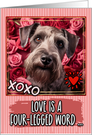 Cesky Terrier and Roses Valentine’s Day card