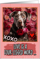 Catahoula Leopard Dog and Roses Valentine’s Day card