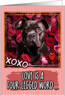 Cane Corso and Roses Valentine’s Day card