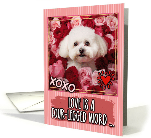 Bichon Frise and Roses Valentine's Day card (1811870)