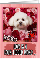 Bichon Frise and Roses Valentine’s Day card