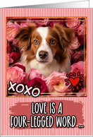 Kooikerhondje and Roses Valentine’s Day card