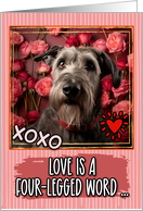 Irish Wolfhound and Roses Valentine’s Day card