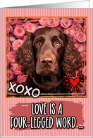 Irish Water Spaniel and Roses Valentine’s Day card