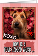Irish Terrier and Roses Valentine’s Day card