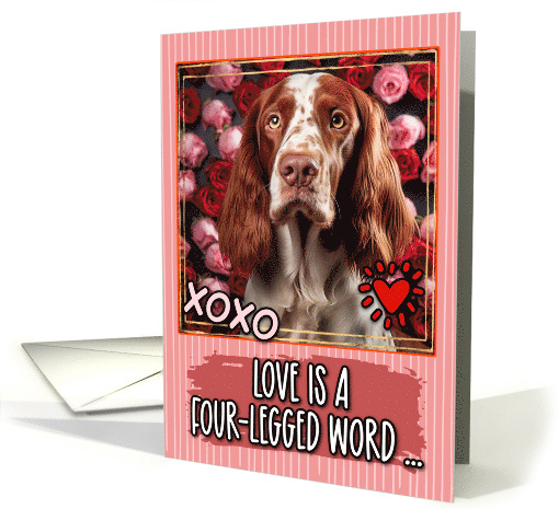 Irish Red and White Setter and Roses Valentine's Day card (1811984)
