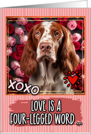 Irish Red and White Setter and Roses Valentine’s Day card