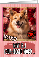 Icelandic Sheepdog and Roses Valentine’s Day card