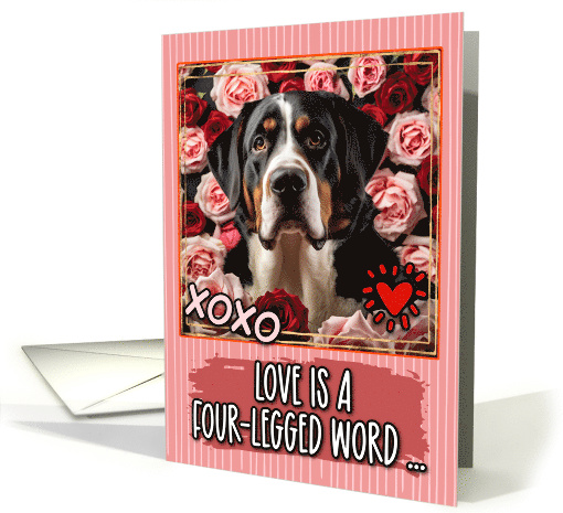 Greater Swiss Mountain Dog and Roses Valentine's Day card (1811992)