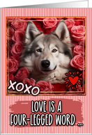 Greenland Dog and Roses Valentine’s Day card