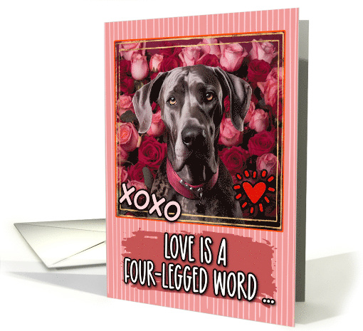 Great Dane and Roses Valentine's Day card (1812000)