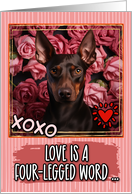 German Pinscher and Roses Valentine’s Day card