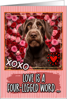 German Wirehaired Pointer and Roses Valentine’s Day card