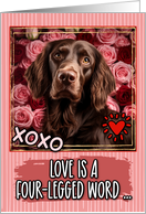 German Longhaired Pointer and Roses Valentine’s Day card