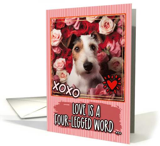 Fox Terrier and Roses Valentine's Day card (1812050)